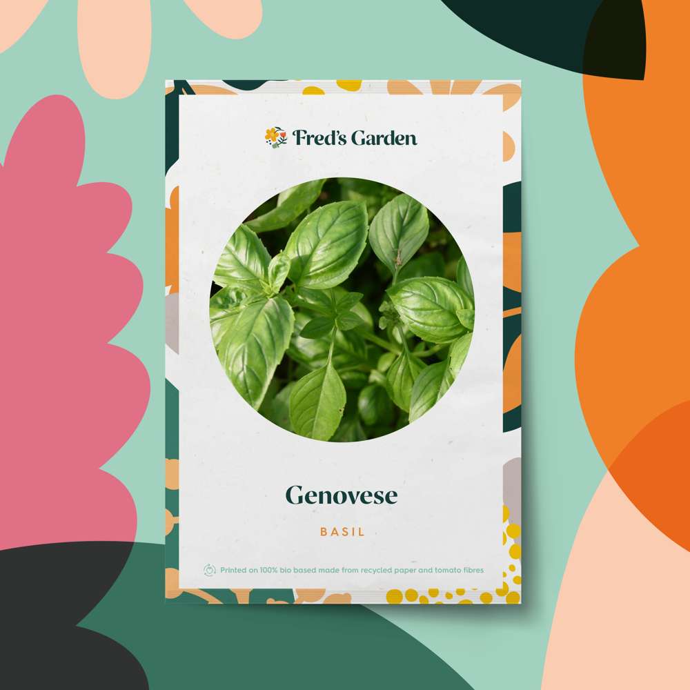 Basilika 'Genovese' (frö)